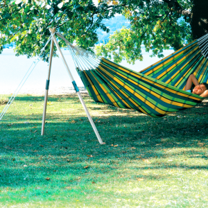 Barbados Lemon Hammock - Image 3