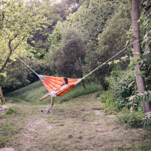 Barbados Papaya Hammock - Image 4